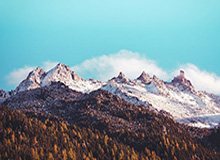 华体会官方网站下载-【欧冠】B费梅开二度 拉什福德造点破门 曼联4比1胜