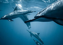 华体会安全通道-国安3连胜悄然雄起 手握6分优势最快下轮即可出线